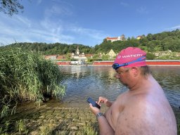 Mainschwimmen Juni 2026